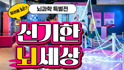 국립광주과학관 SNS 신기한 뇌세상