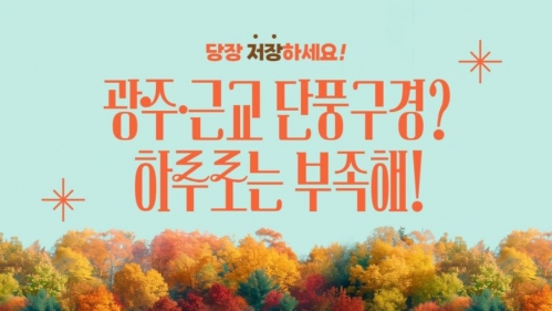모두의 광주 가을이 예쁘게 물드는 시간, 단풍 맛집 총정리