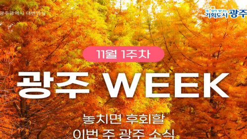 광주광역시 SNS 2025년 11월 1주차 광주 WEEK