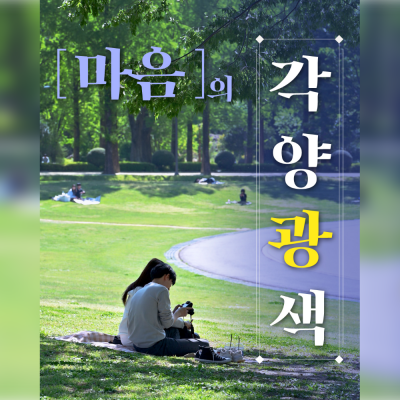 광주광역시 공식 블로그 및 SNS 운영